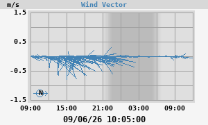 Wind Vector